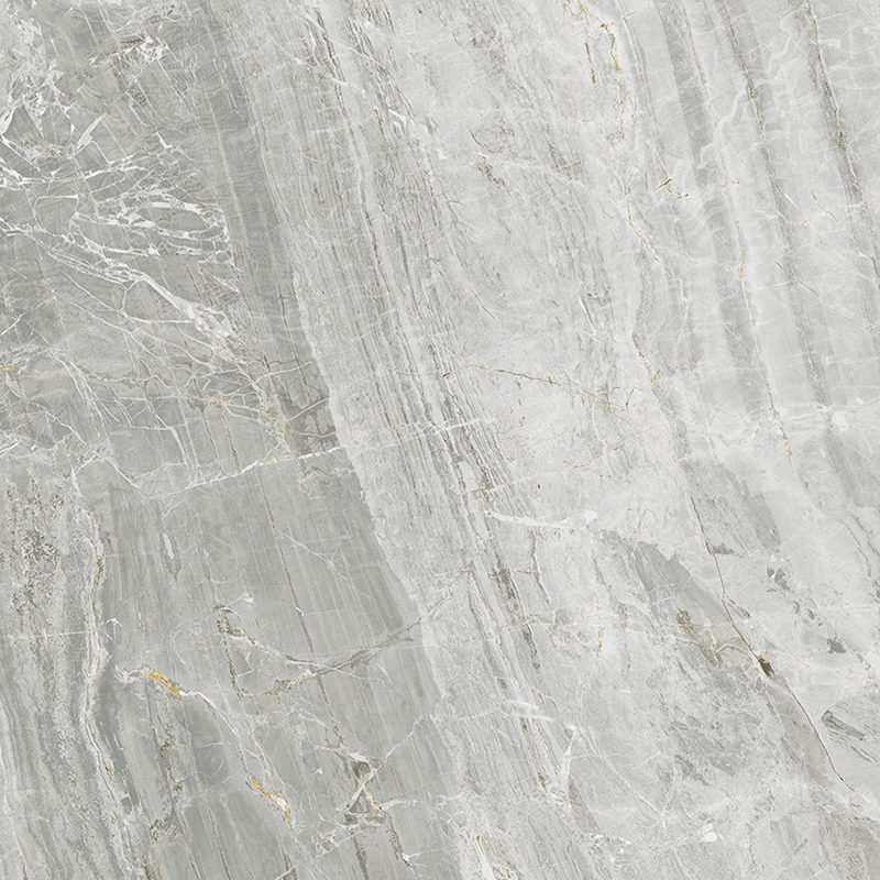 Purity of Marble Orobica Grigia