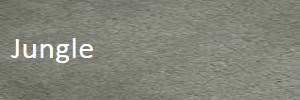 Jungle