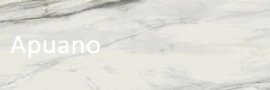 Apuano