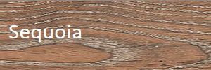 Sequoia